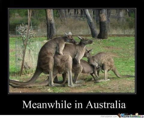 Meanwhile-in-Australia.jpg