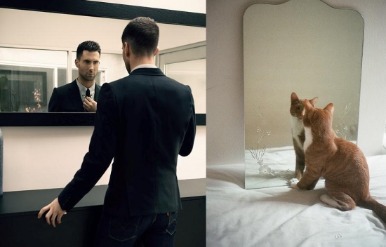 Cats That Look Like Male Models 4