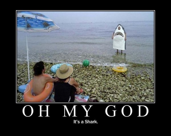 oh my god shark2