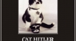 Cat Hitler