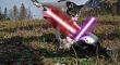 Cats with lightsabers 27