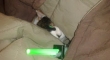 Cats with lightsabers 34
