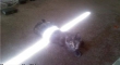 Cats with lightsabers 38