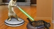 Cats with lightsabers 4