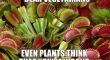 Dear Vegetarians even the plants....