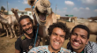 Even camels can photobomb