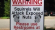 Squirrels Will Attack Exposed Nuts