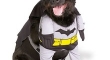 The Batdog