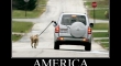 Walking the dog The America way2