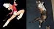 cats that look like pin up girls 10