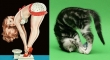 cats that look like pin up girls 7