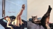cats that look like pin up girls 8