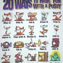 20 Ways To Have Fun With A Pussy