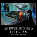 A Ewok Riding A Delorean2