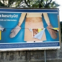 Ad Placement fails The Cat