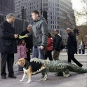 Alligator Dog Costume