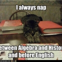 Always nap between algebra and history