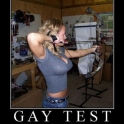 Another gay test for you2