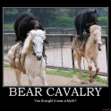 Bear Cavalry