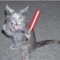 Cats with lightsabers 1