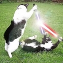 Cats with lightsabers 19