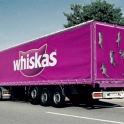 Cats with loads of Whiskas