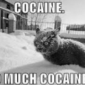 Cocaine so much cocaine