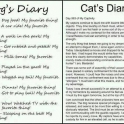 Dogs vs Cats Diary