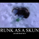 Drunk as a skunk2