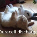 Duracell Discharge