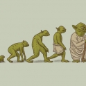 Evolution of Yoda