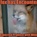 FireFox Has Encountered...