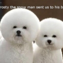 Frosty the Snow Man Sent Us To His Barber
