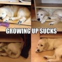 Growing up sucks2