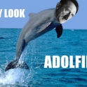 Hay Look Adolfin