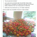Hay we got some tomatos