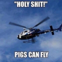 Holy Shit pigs can fly