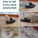 How to tell if you have smelly feet