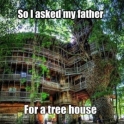 I asked my father for a tree house..