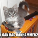 I can has Banhammer
