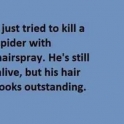 I just tried to kill a spoder with hairspray