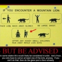 If You Encouter A Mountain Lion