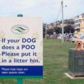 If your dog does a poo...