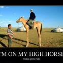 Im On My High Horse2