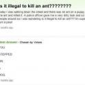 Is it illegal to kill an ant