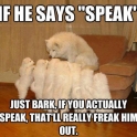 Just bark do not talk human