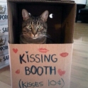 Kissing Booth but no tongues please