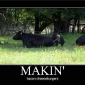 Makin Bacon Cheezebugers2