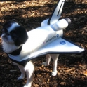 NASA We Have A Dog