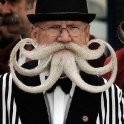 Octopus beards